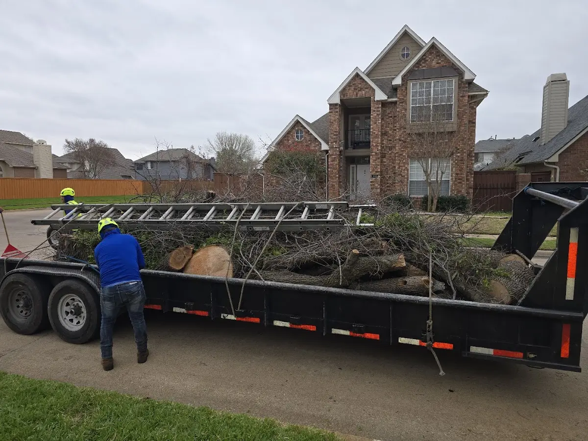 Expert Crown Reduction with proper safety equipment in Beeville